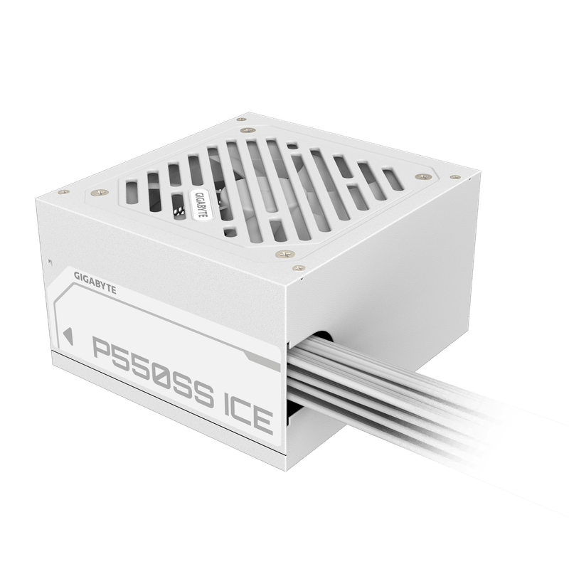 P550SS-ICE-04.png