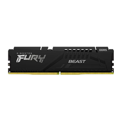 FURY_Beast_Black_EXPO_DDR5_1-lg.jpg