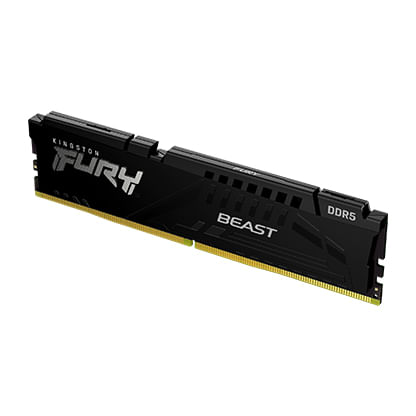 FURY_Beast_Black_EXPO_DDR5_1_angle-lg.jpg