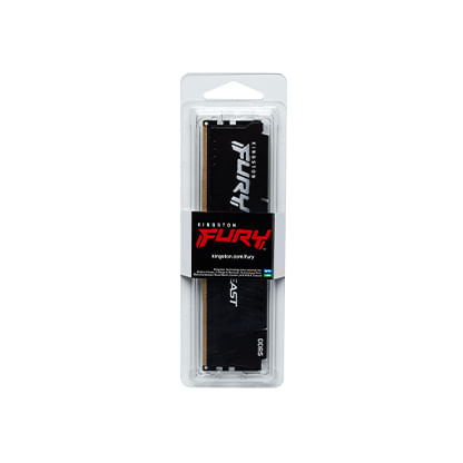 FURY_Beast_Black_EXPO_DDR5_1_pkg-lg.jpg