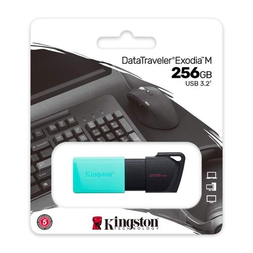 Pendrive 256GB Kingston DTXS USB 3.2