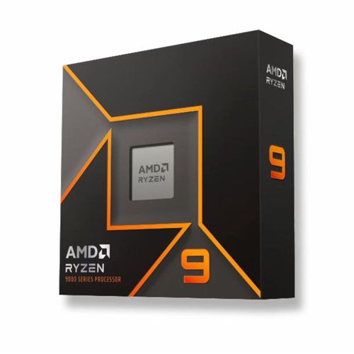 Procesador AMD Ryzen 9 9900X AM5